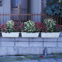 95image.jpg