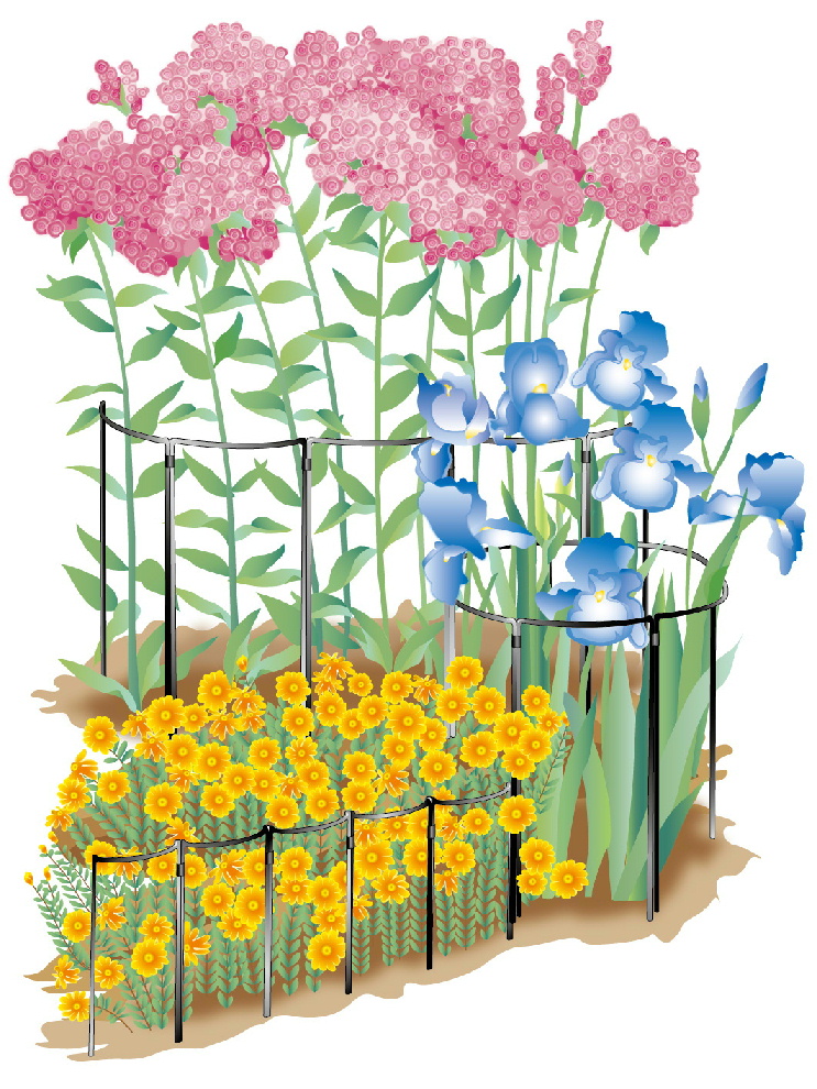 http://gr-garden.com/flower-guard-illustration.jpg