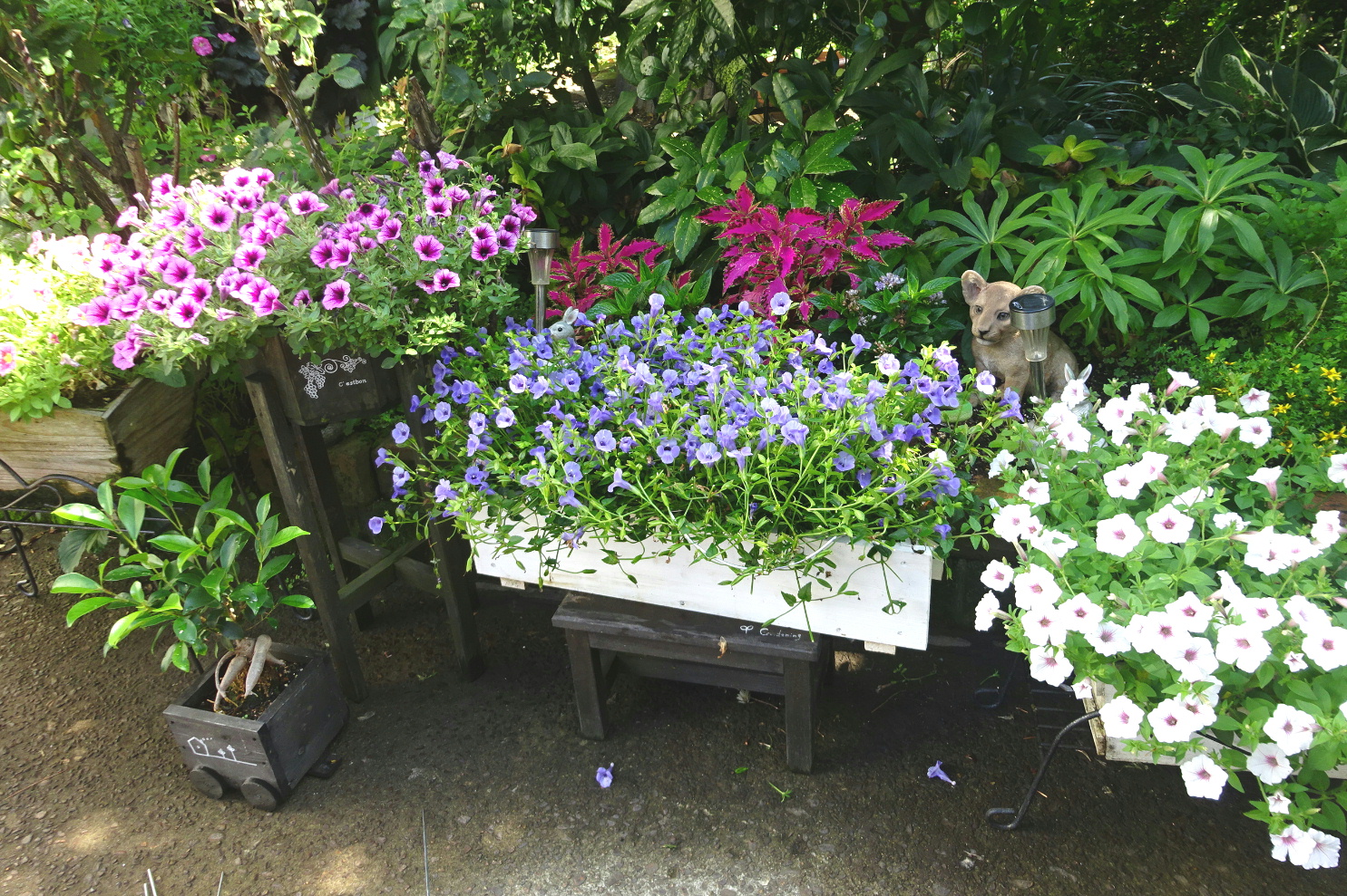 http://gr-garden.com/flower-guard-image2.jpg