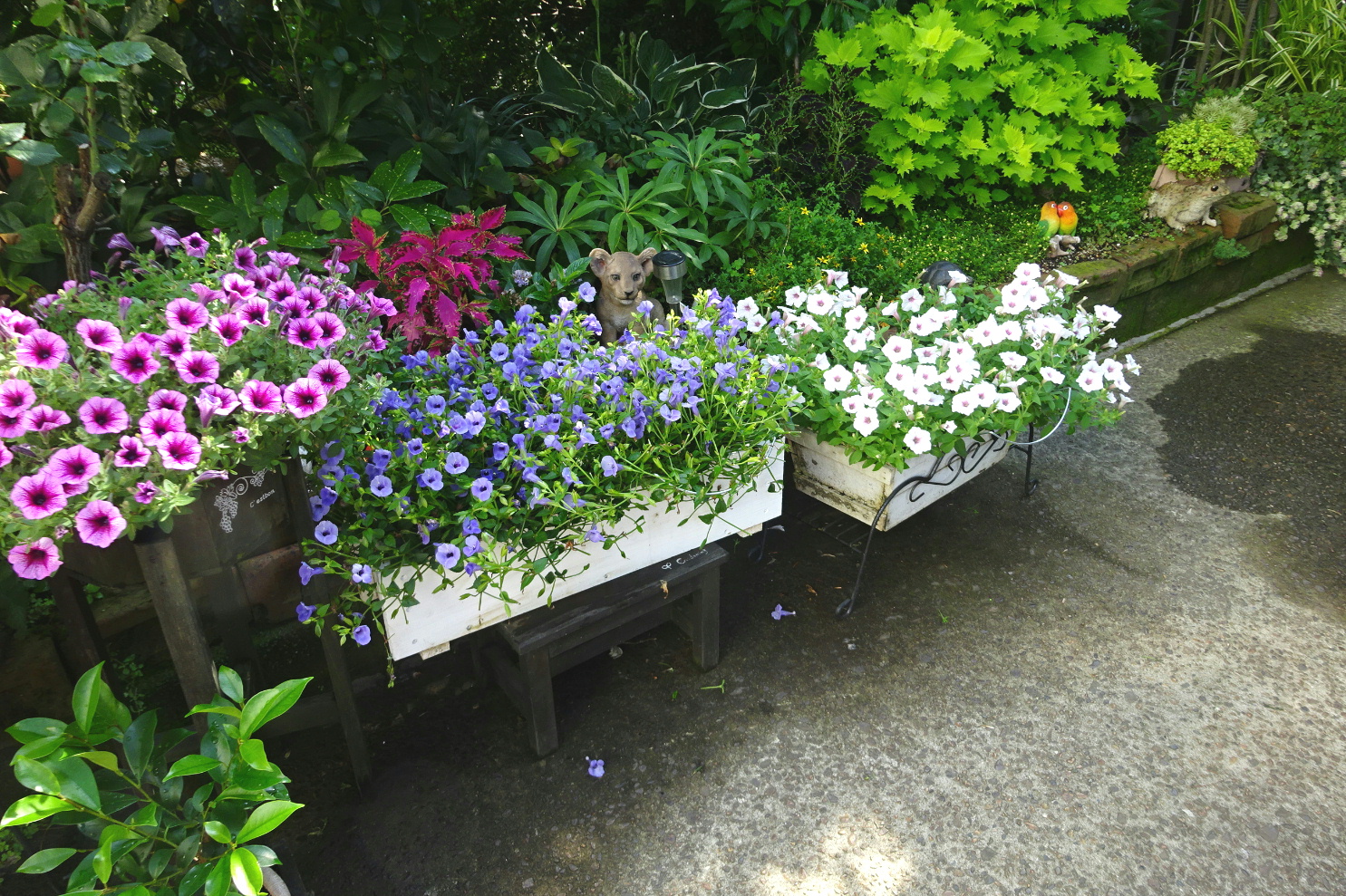 http://gr-garden.com/flower-guard-image4.jpg