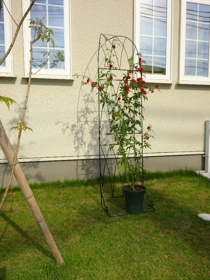 http://gr-garden.com/item/flower-arch/04813.jpg