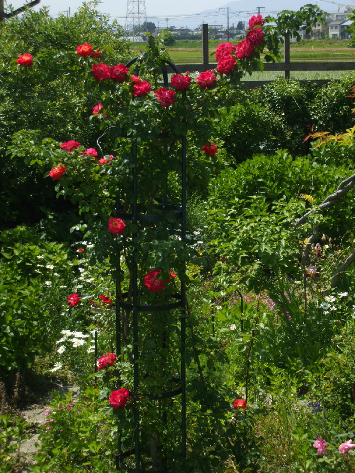 http://gr-garden.com/item/obelisk/newobelisk-image2.jpg