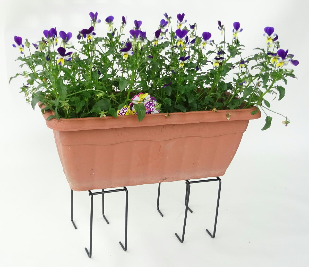 http://gr-garden.com/item/planter/05566.jpg