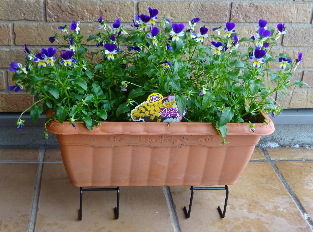 http://gr-garden.com/item/planter/05574.jpg