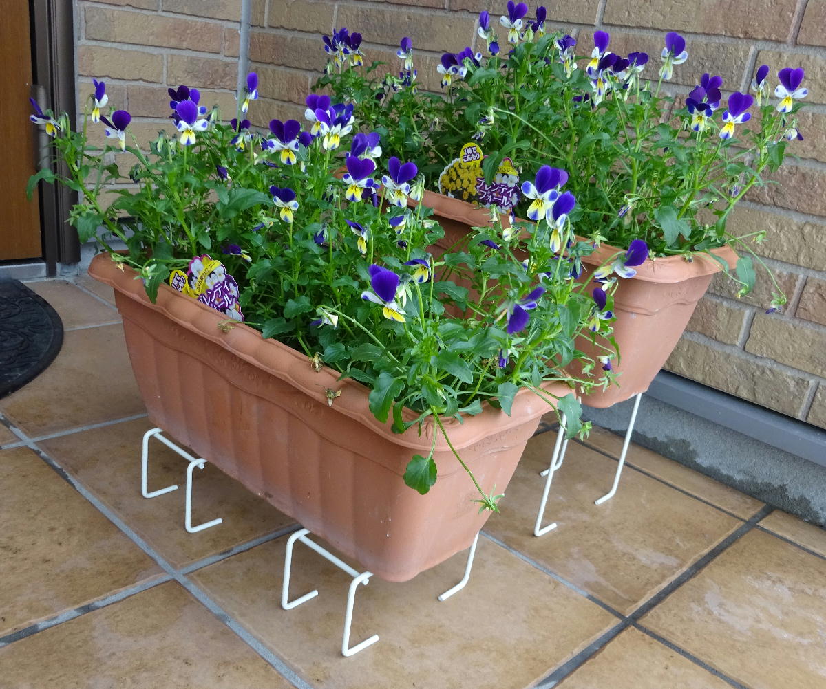 http://gr-garden.com/item/planter/05587.jpg