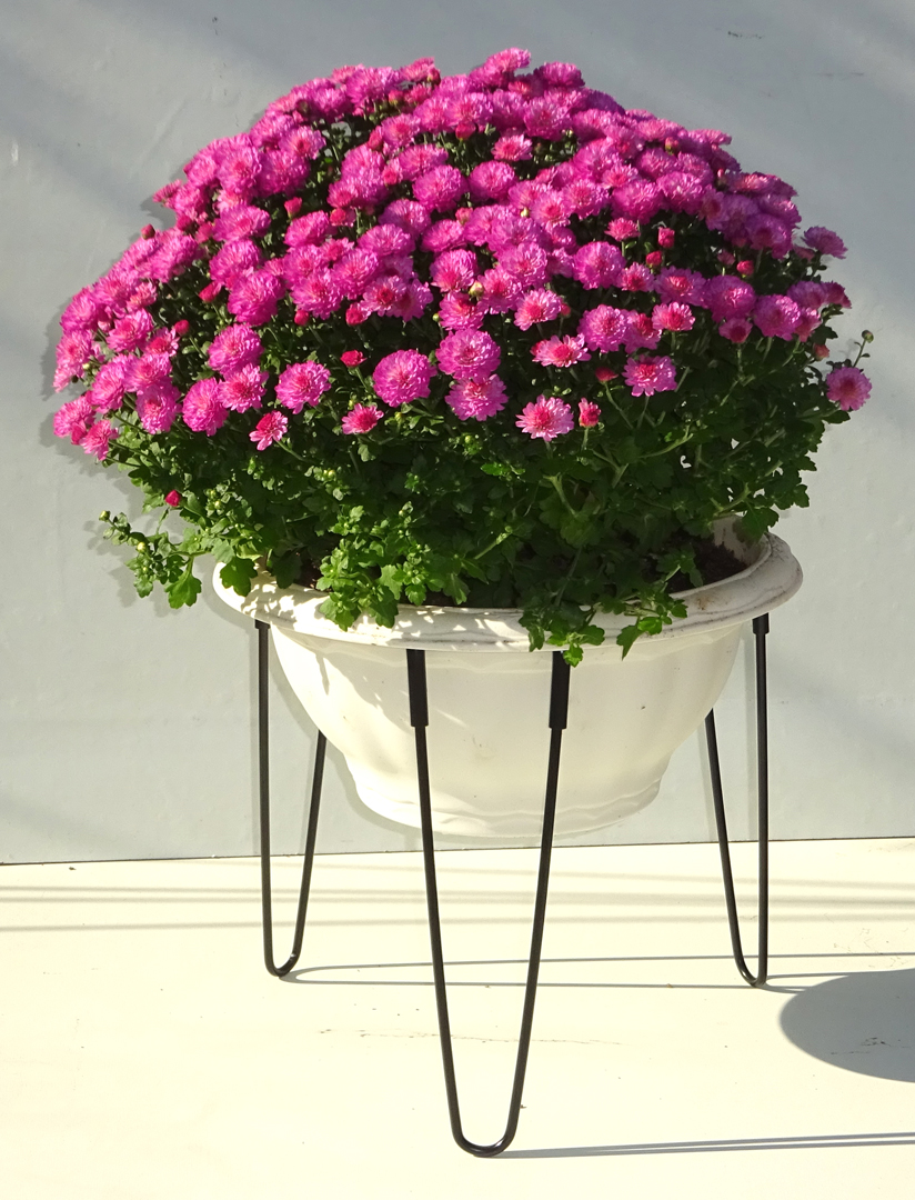 http://gr-garden.com/item/planter/05872.jpg