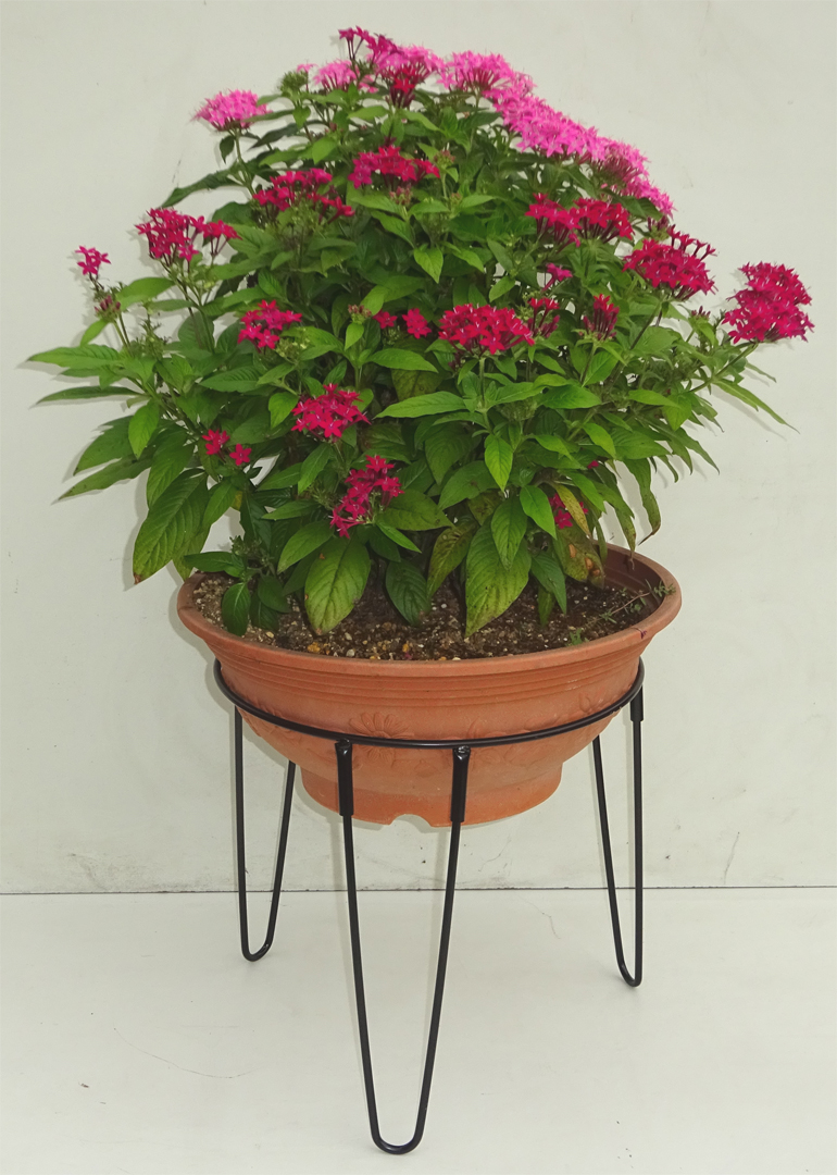 http://gr-garden.com/item/planter/05892.jpg