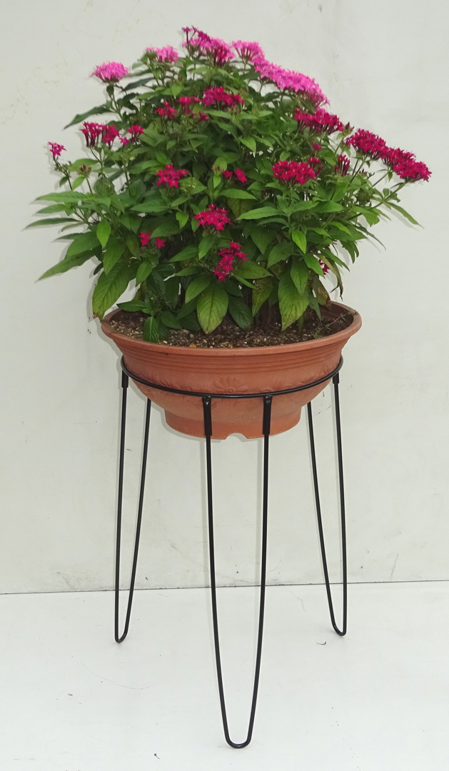 http://gr-garden.com/item/planter/05897.jpg