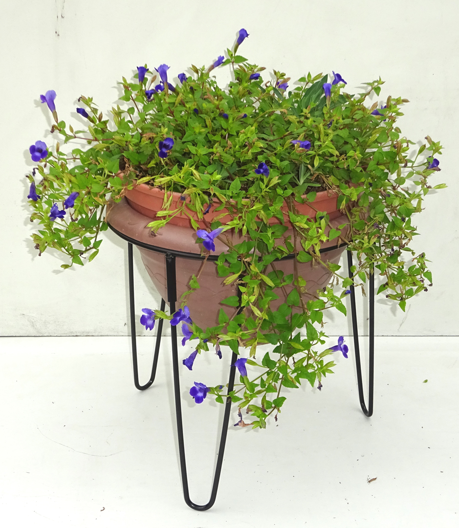 http://gr-garden.com/item/planter/05920.jpg