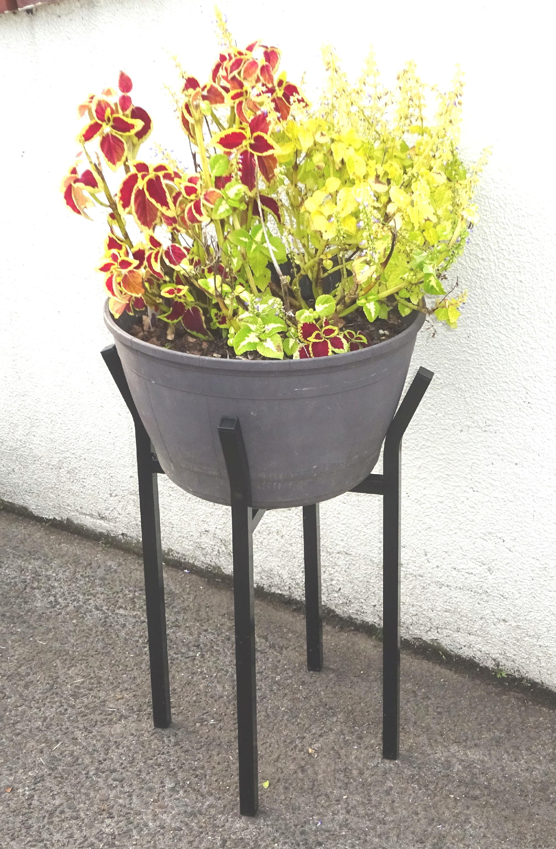 http://gr-garden.com/item/planter/05966.jpg