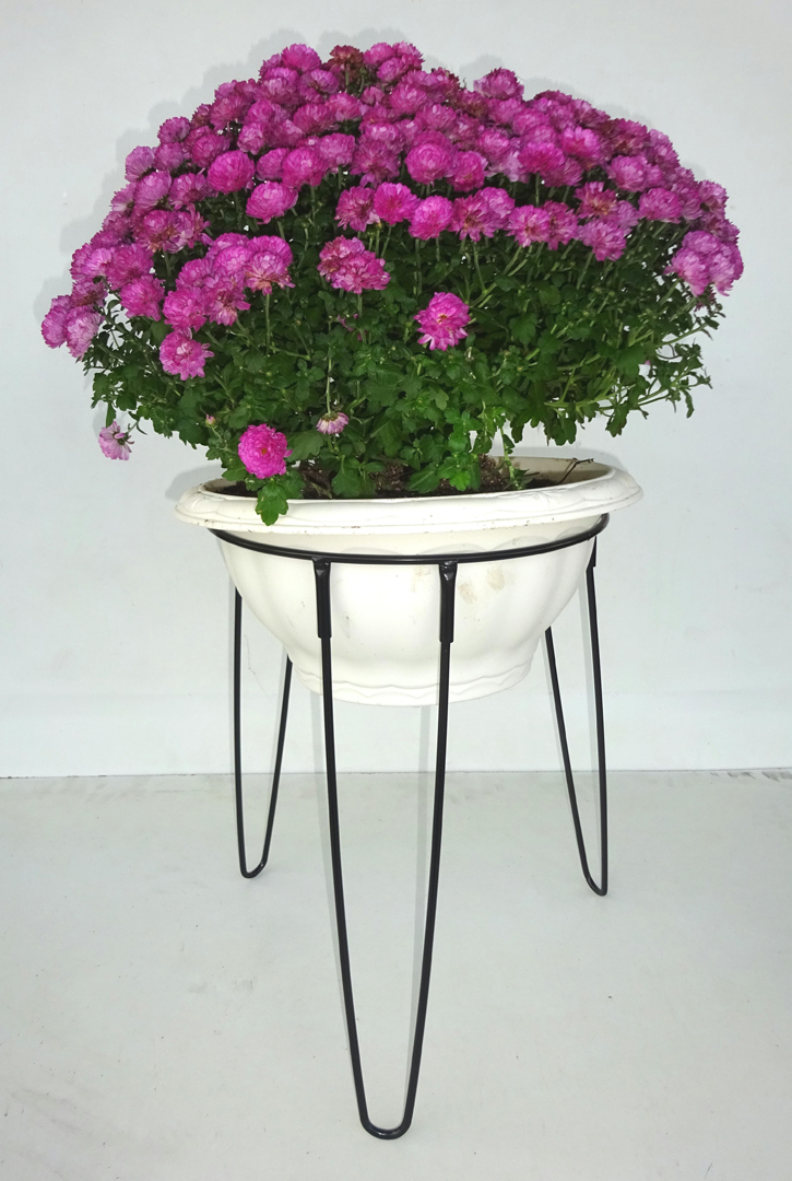 http://gr-garden.com/item/planter/05976.jpg