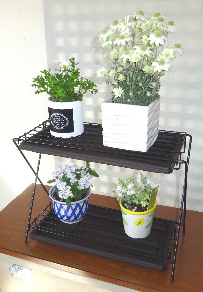 http://gr-garden.com/item/planter/06152.jpg