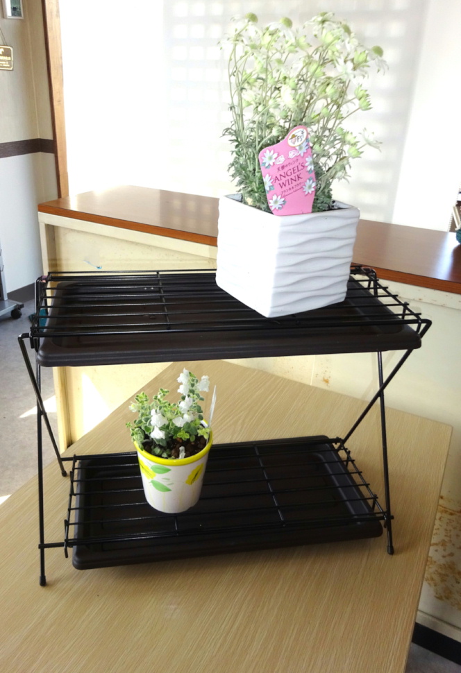 http://gr-garden.com/item/planter/06166.jpg