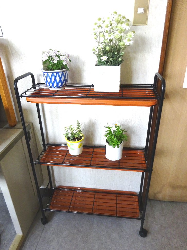 http://gr-garden.com/item/planter/06169.jpg