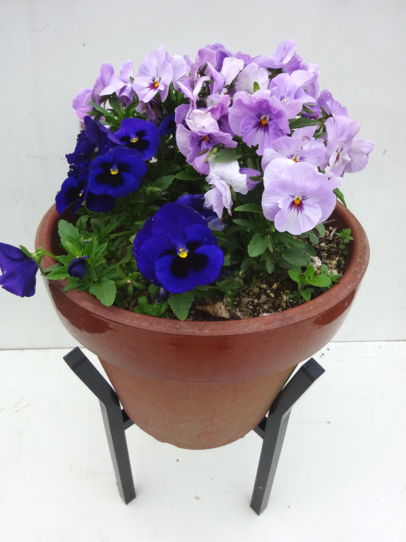 http://gr-garden.com/item/planter/6114.jpg