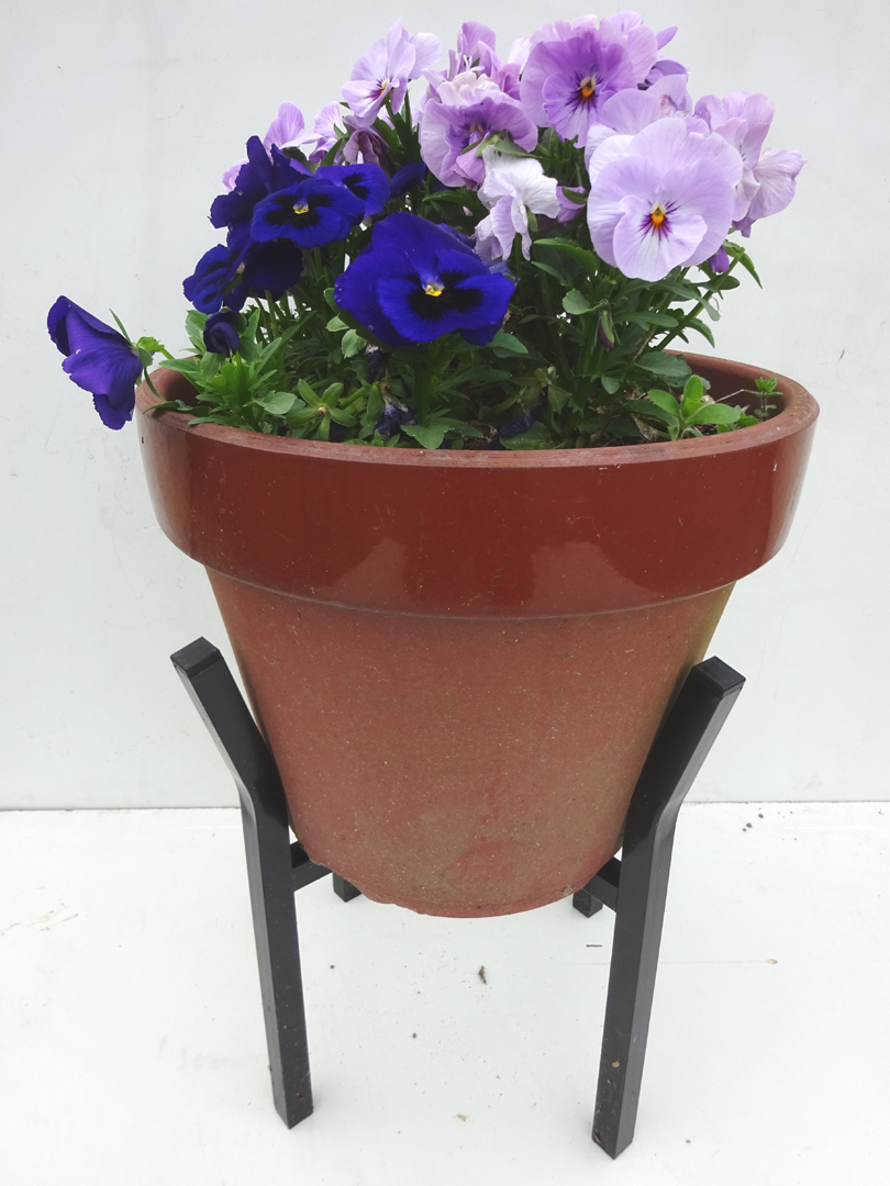 http://gr-garden.com/item/planter/6115.jpg